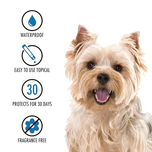 Advecta Ultra Flea And Tick Prevention For Dogs - Dog and Puppy Treatment and Control - Mosquito Repellent - Small, Fast Acting Waterproof Topical Drops, 4 Month Supply