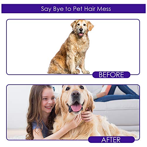 Upgrade Version Pet Grooming Glove - Gentle Deshedding Brush Glove - Efficient Pet Hair Remover Mitt - Enhanced Five Finger Design - Perfect for Dog & Cat with Long & Short Fur - 1 Pair (Purple)