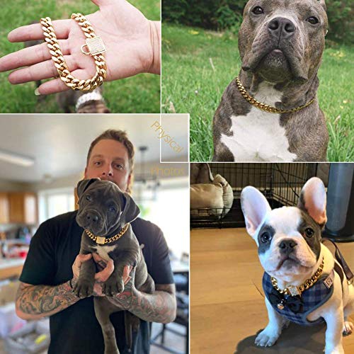 Top Luxury Dog Collar Personalizedl Stainless Steel 14mm 18K Gold Big Dog Luxury Training Collar Cuban Link with Zirconia Lock Necklace Chain for Dog (14 inch)
