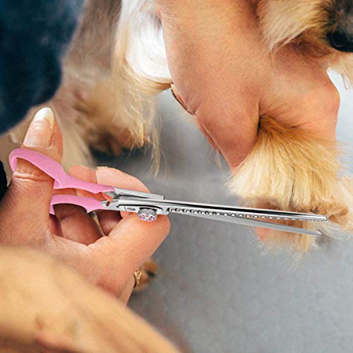 7 Inch Thinning Dog Grooming Scissors, 21Teeth Professional Chunker Schears Dog Grooming, 440C Japanese Stainless Steel Double Finger Rest Pet Blending, Trimming, Cutting Scissors for Groomers