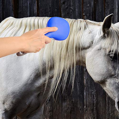 BOTH WINNERS Mane and Tail Brush for Horses and Dogs with Soft Touch Grip (BLUE)