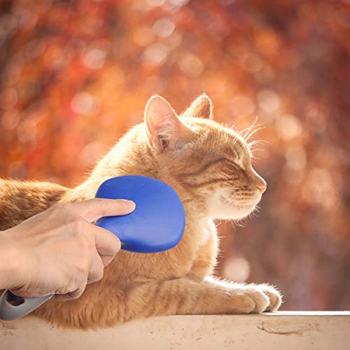 BOTH WINNERS Mane and Tail Brush for Horses and Dogs with Soft Touch Grip (BLUE)