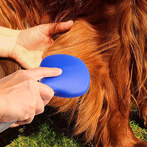 BOTH WINNERS Mane and Tail Brush for Horses and Dogs with Soft Touch Grip (BLUE)