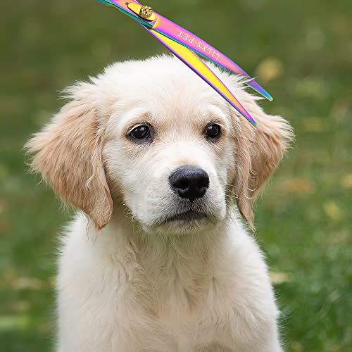 LILYS PET HIGH-END SERIES 8-Inch Japan 440C Rainbow Color Pet Grooming Two-way Curved Scissor,Delicate Gold Screw with Drilling