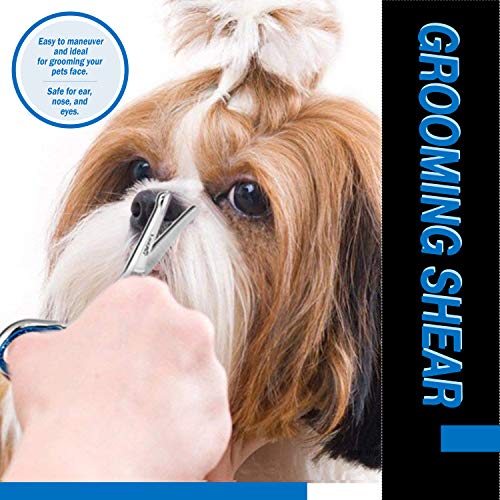 Laazar Pro Dog Grooming Scissors, Straight Pet Grooming Shears, with Safety Round Tip, Ball Point for Easy and Safe use. | Premium Sharp Long Lasting Professional Hair Trimming Scissors (4.5 Inches)