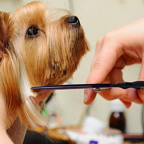 Dream Reach 7.0 inches Professional Decompressed Elastic Handle Pet Grooming Scissors Set,Straight & Chunker & 2 Curved Scissors 4pcs Set for Dog Grooming (Purple) (Cutting Scissor)