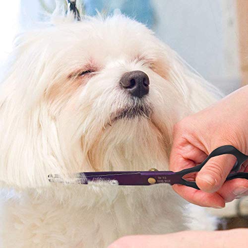 Dream Reach 7.0 inches Professional Decompressed Elastic Handle Pet Grooming Scissors Set,Straight & Chunker & 2 Curved Shears 4pcs Set for Dog Grooming