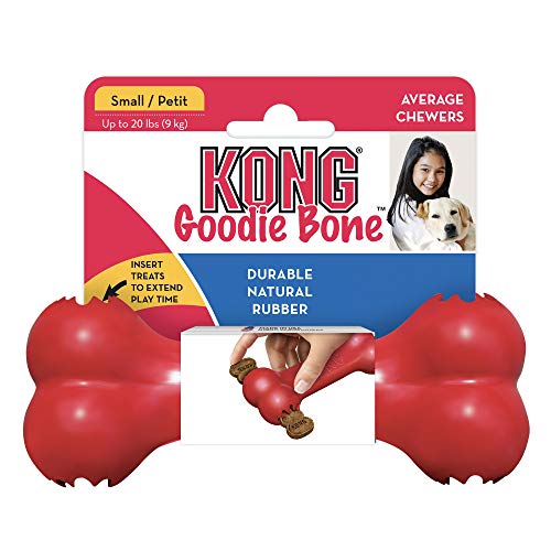 Durable KONG Goodie Bone - Teeth & Gum Health