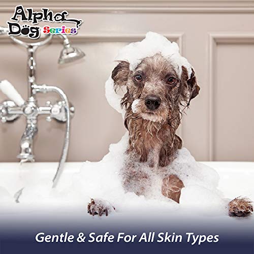 All Natural Anti Itch Oatmeal Shampoo + Conditioner for Dogs | Hypoallergenic Soothing Relief for Dry, Itchy, Bitten or Allergy Damaged Skin (PACK OF 2)