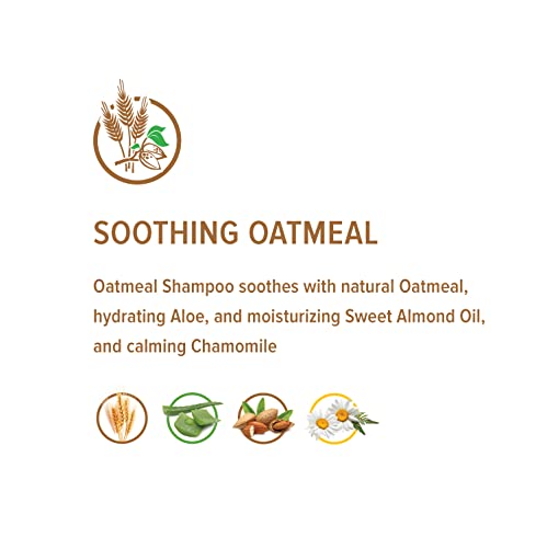 John Paul Pet Oatmeal Waterless Foam Shampoo for Dogs and Cats, Sensitive Skin Formula, 8.5-Ounce