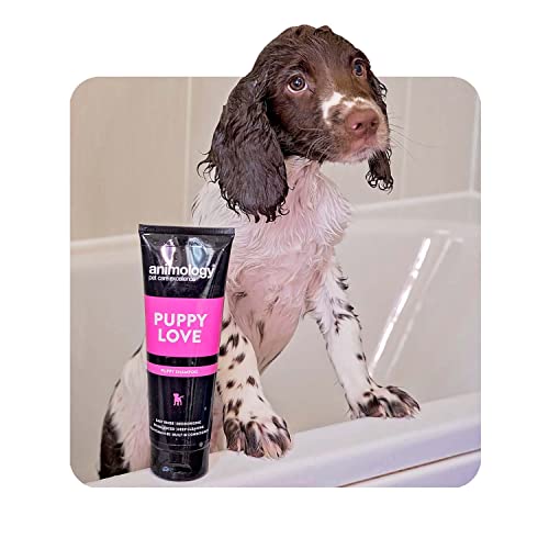 Animology Dog Shampoo Puppy Love Gentle Skin 250ml