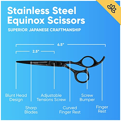 Equinox Professional Razor Edge Hair Cutting Scissors 6.5" Barber Shears (Matte Black)