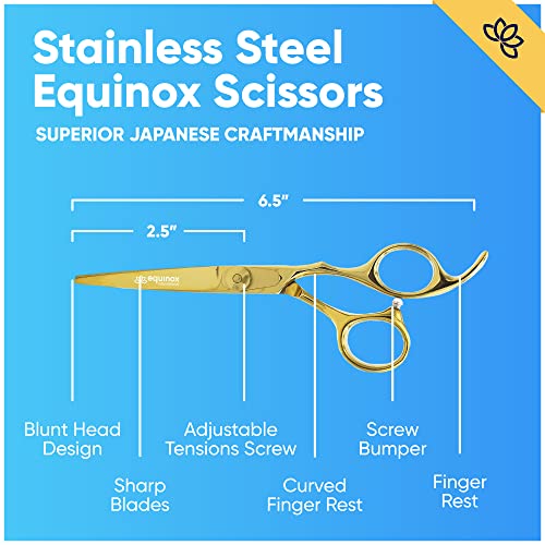 Equinox Professional Razor Edge Series - Barber Hair Cutting Scissors/Shears - 6.5" Overall Length with Fine Adjustment Tension Screw