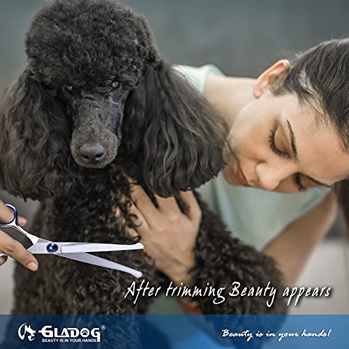 Professional 6-in-1 Dog Grooming Scissors Kit