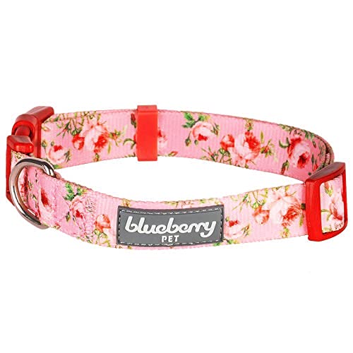 Blueberry Pet Floral Rose Dog Collar - Small