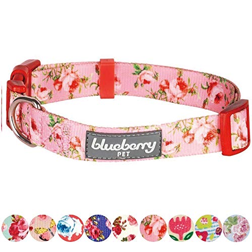Blueberry Pet Floral Rose Dog Collar - Small