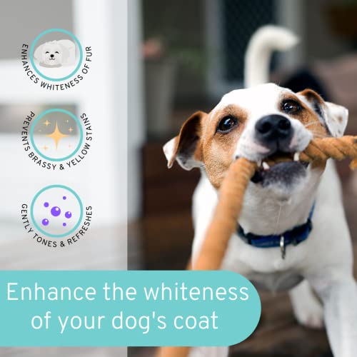 Dog Whitening Shampoo, Gentle Sulfate Free Formula, Brightens White and Darkens Black Coats, Dog Shampoo Proudly Made In The USA (8 fl oz)