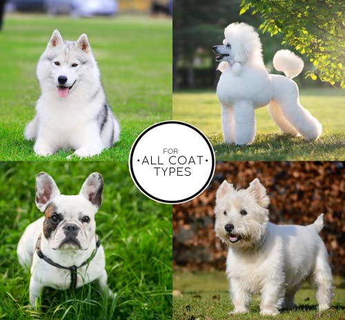 Chris Christensen White on White Shampoo for Pets,16 fl.oz.