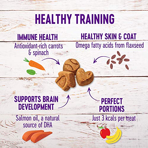 Wellness Crunchy Puppy Bites Natural Grain-Free Treats for Training, Dog Treats with Real Meat and DHA, No Artificial Flavors (Crunchy Chicken & Carrots, 6-Ounce Bag)