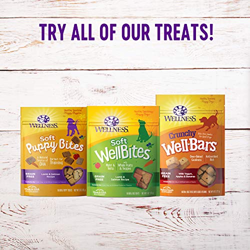 Wellness Crunchy Puppy Bites Natural Grain-Free Treats for Training, Dog Treats with Real Meat and DHA, No Artificial Flavors (Crunchy Chicken & Carrots, 6-Ounce Bag)