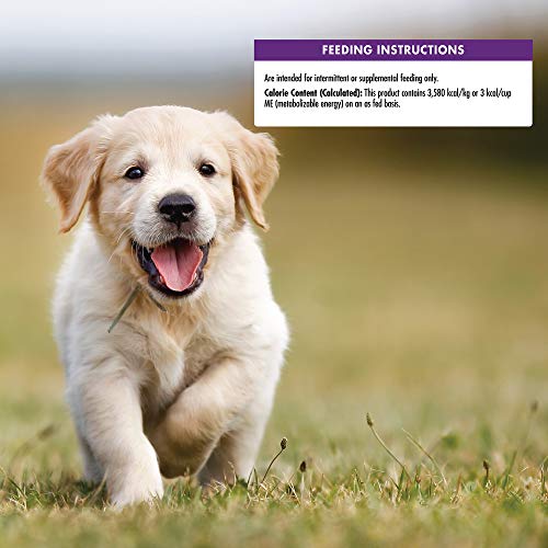 Wellness Crunchy Puppy Bites Natural Grain-Free Treats for Training, Dog Treats with Real Meat and DHA, No Artificial Flavors (Crunchy Chicken & Carrots, 6-Ounce Bag)