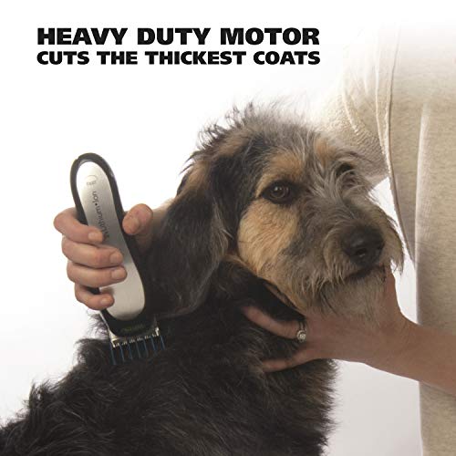 Wahl Lithium Ion Pro Series Cordless Animal Clippers  Rechargeable, Quiet, Low Noise, Heavy-Duty, Electric Dog & Cat Grooming Kit for Small & Large Breeds with Thick to Heavy Coats  Model 9766,Black and Silver