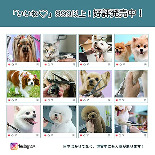 Purple Dragon Professional 7.0 inch 4PCS Pet Grooming Scissor Kit Japan Premium Steel Straight & Curved & Thinning Blade Dog Hair Cutting Shears Set with Case