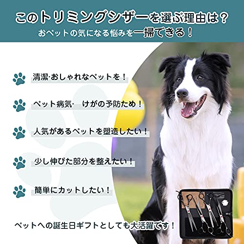 Purple Dragon Professional 7.0 inch 4PCS Pet Grooming Scissor Kit Japan Premium Steel Straight & Curved & Thinning Blade Dog Hair Cutting Shears Set with Case