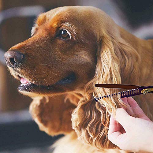 Purple Dragon Professional 7.0/8.0 inch Pet Grooming Hair Cutting Scissor and 6.75/8.0 inch Dog Chunker Shear - Japan 440C Stainless Steel for Pet Groomer or Family DIY Use (Chunker Scissor)