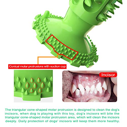Dog Chew Toys Almost Indestructible Squeaky Dog Toys Durable Bite-Resistant Natural Rubber Teeth Care Dog Toys for Puppy Medium Large Breed Dogs (Green -Chew Toys)