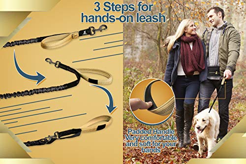 SparklyPets Hands-Free Dog Leash for Medium and Large Dogs – Professional Harness with Reflective Stitches for Training, Walking, Jogging and Running Your Pet (Gold)