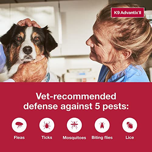 Bayer Animal Health K9 Advantix II Flea And Tick Prevention for Dogs, Dog Flea And Tick Treatment For Large Dogs 21-55 lbs, 2 Monthly Applications