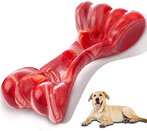 Durable Dog Chew Toy for Aggressive Chewers