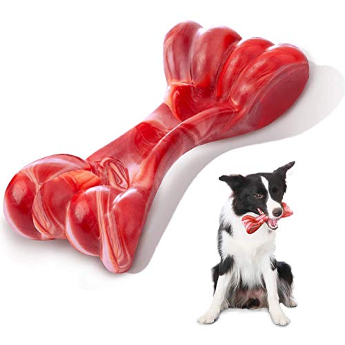 Durable Dog Chew Toy for Aggressive Chewers