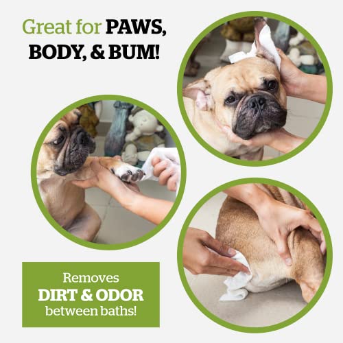 Pogi's Grooming Wipes - 100 Hypoallergenic Pet Wipes for Dogs & Cats - Plant-Based, Fragrance-Free, Deodorizing Dog Wipes
