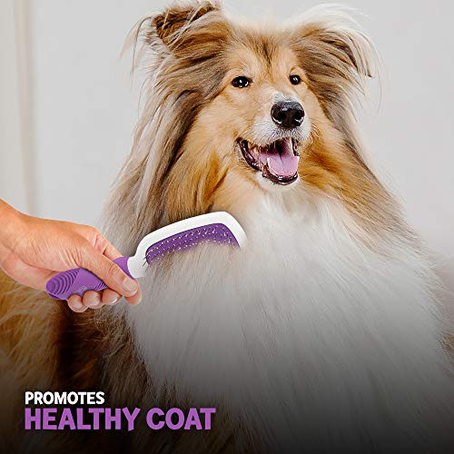 Stainless Steel Grooming Brush for Dogs - Ever Gentle Slicker Brush with Rubber Handle and Hook