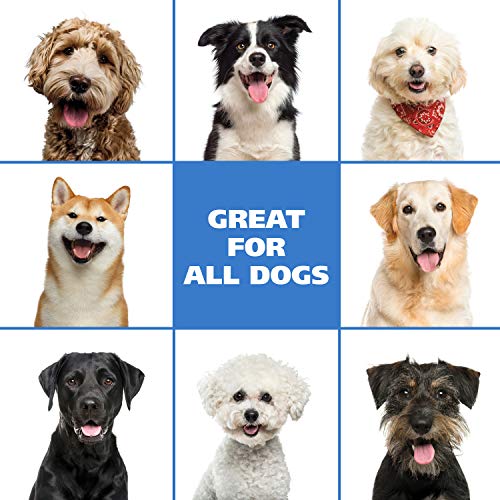 Wahl Pet Friendly Waterless No Rinse Shampoo for Animals  Lavender & Chamomile for Cleaning, Conditioning, Detangling, & Moisturizing Dogs, Cats, & Horses  7.1 Oz