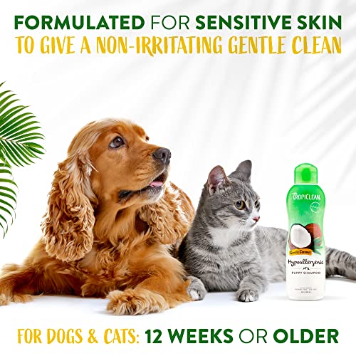 TropiClean Gentle Coconut Hypoallergenic Puppy and Kitten Shampoo, 20oz - Gentle Cleansing for Dogs and Cats with Sensitive Skin, Made in the USA