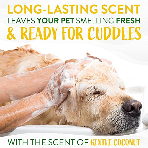 TropiClean Gentle Coconut Hypoallergenic Puppy and Kitten Shampoo, 20oz - Gentle Cleansing for Dogs and Cats with Sensitive Skin, Made in the USA