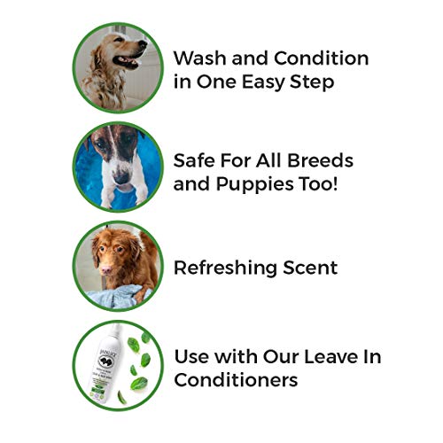 BarkLogic Clean & Clear 2 in 1 Shampoo & Conditioner, Mint, 16 fl oz - Grooming Essentials For A Healthy Coat - No Parabens, No Phthalates, No Sulfates, No DEA & PEG, Hypoallergenic & Vegan