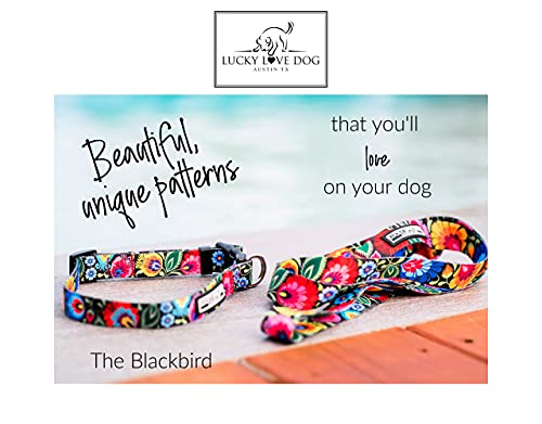 Lucky Love Vivid Floral Dog Collar for Large Female Dogs