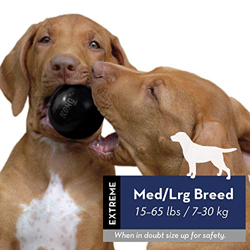 Durable KONG Extreme Ball for Aggressive Chewers