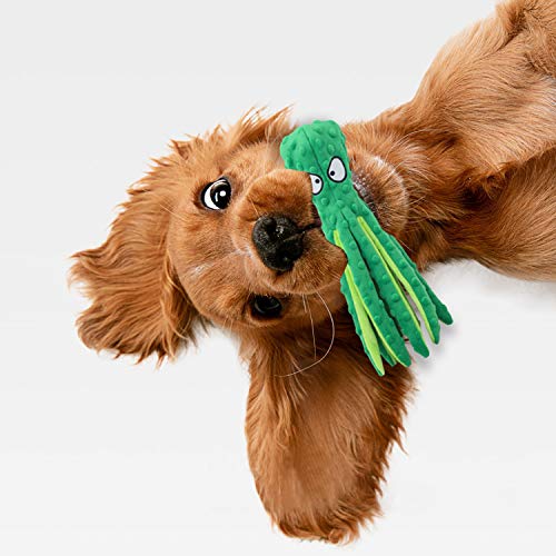 LUFFWELL Durable Dog Squeaky Toys, 2 Pack No Stuffing Plush Crinkle Toys, Animal Chew Toy Interactive with Squeaker for Small Medium Large Dogs, Octopus Design 12.5â