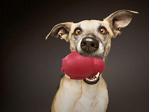 Penguin Durable Dog Chew Toys, Freezable Stuffable Puppy Treat Dispensing Chew Toys, Natural Rubber Interactive Puzzle Game Dog Toys for Small Medium Large dogs, Fun to Chase and Fetch, Beef Flavor