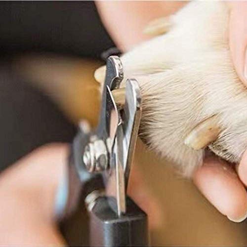 Dog & Cat Nail Clippers with Safety Guard to Avoid Over-Cutting Nails & Free Nail Trimmer - Razor Sharp Blades - Sturdy Non-Slip Handles  Safe at-Home Grooming of Large, Medium & Small Dogs & Cats