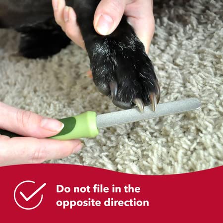 Coastal Pet Products DCPW6112 Stainless Steel Safari Diamond Dog Nail File