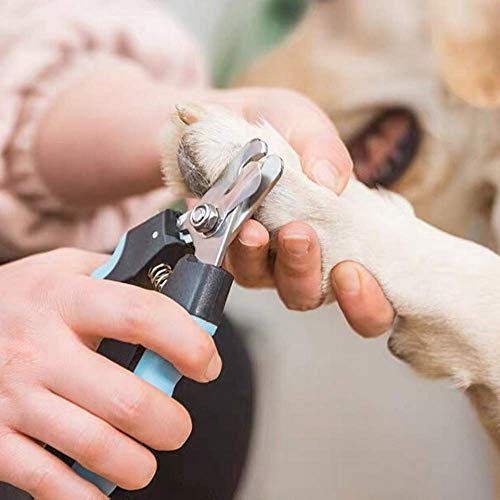 Dog & Cat Nail Clippers with Safety Guard to Avoid Over-Cutting Nails & Free Nail Trimmer - Razor Sharp Blades - Sturdy Non-Slip Handles  Safe at-Home Grooming of Large, Medium & Small Dogs & Cats