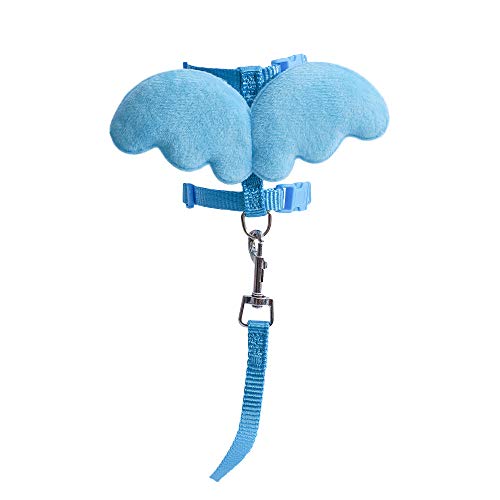 Extra Small Pet Animal Harness and Leash Angel Wings Set (Blue)