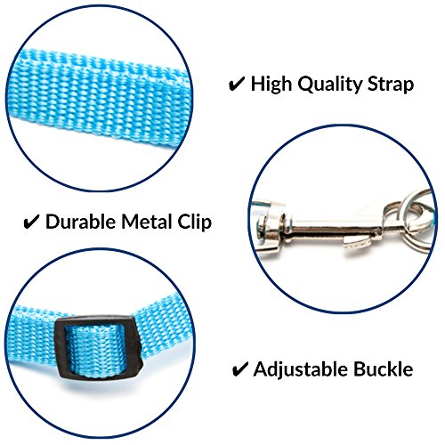 FunPetLife Small Pet Animal Harness and Leash Angel Wings for Bearded Dragon Reptile Lizard Gecko Baby Ferret Chinchilla Mouse Chipmunk Squirrel Gerbil Degu Rat