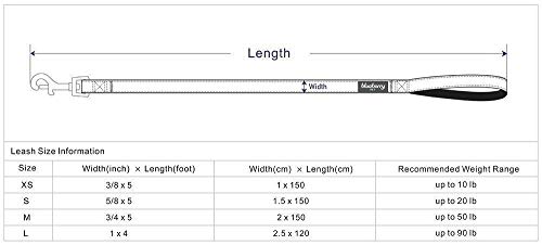 Spring-inspired Floral Rose Dog Leash - Small